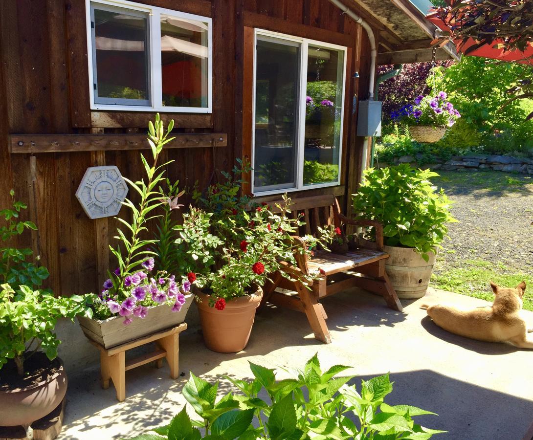Bond Ranch Retreat Ξενοδοχείο King Hill Εξωτερικό φωτογραφία