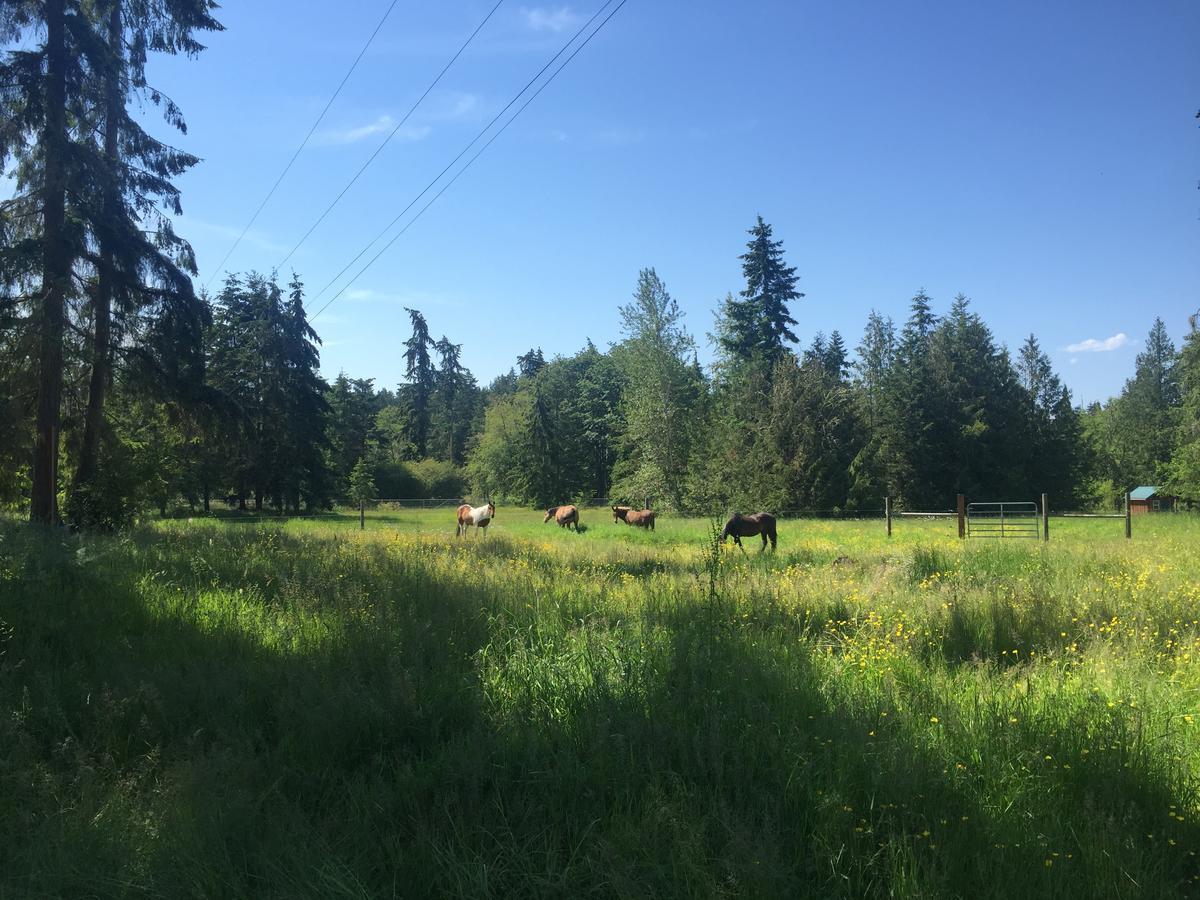 Bond Ranch Retreat Ξενοδοχείο King Hill Εξωτερικό φωτογραφία