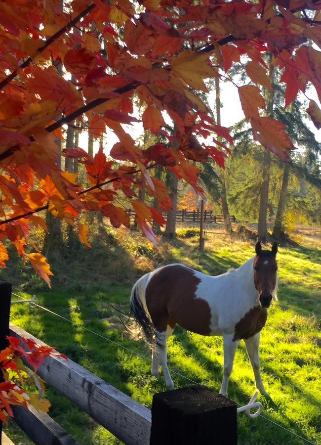 Bond Ranch Retreat Ξενοδοχείο Sequim Εξωτερικό φωτογραφία